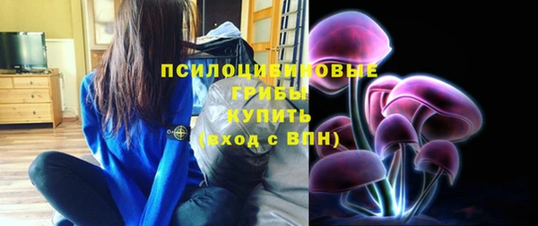 прущие грибы Абдулино