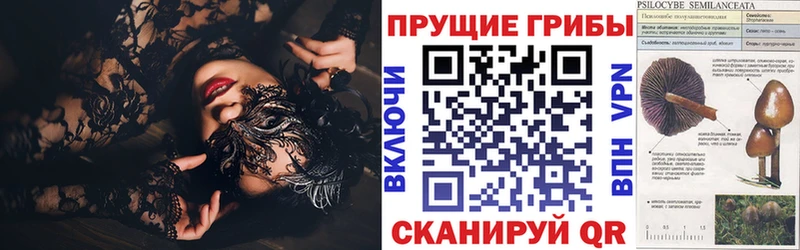 кракен как зайти  Ковров  Псилоцибиновые грибы мухоморы  как найти наркотики 