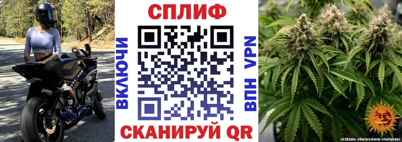 Шишки марихуана семена  Ковров 